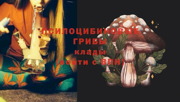 PSILOCYBIN Горно-Алтайск