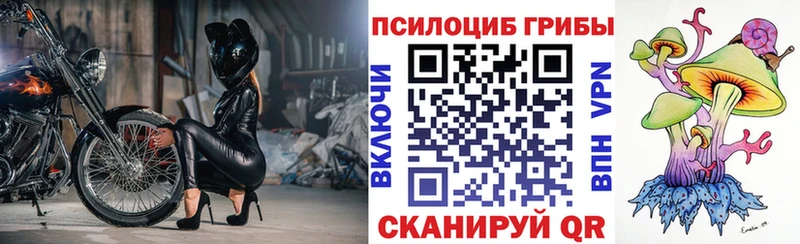 Псилоцибиновые грибы Magic Shrooms  Миньяр 